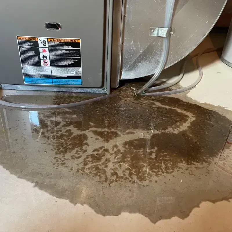 Appliance Leak Cleanup in Nokomis, FL